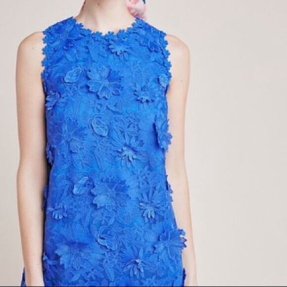 ERI + ALI Womens Small Royal Blue Sleeveless Embroidered Daisy Lace Shift Dress - Picture 3 of 10